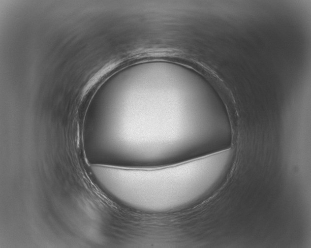 X0000086051317200703230910