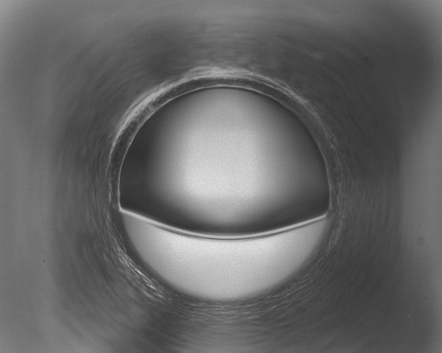 X0000086051319200703230910