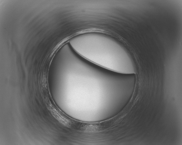 X0000086051321200703230910
