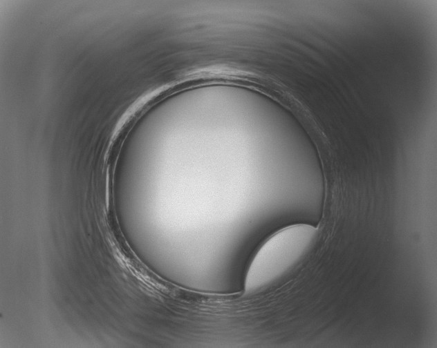 X0000086051323200703230910