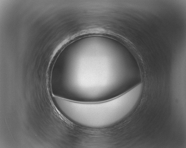 X0000086051326200703230910