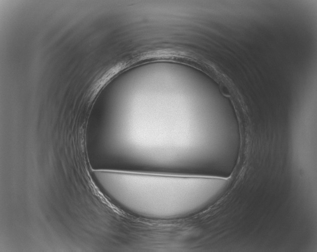 X0000086051329200703230910
