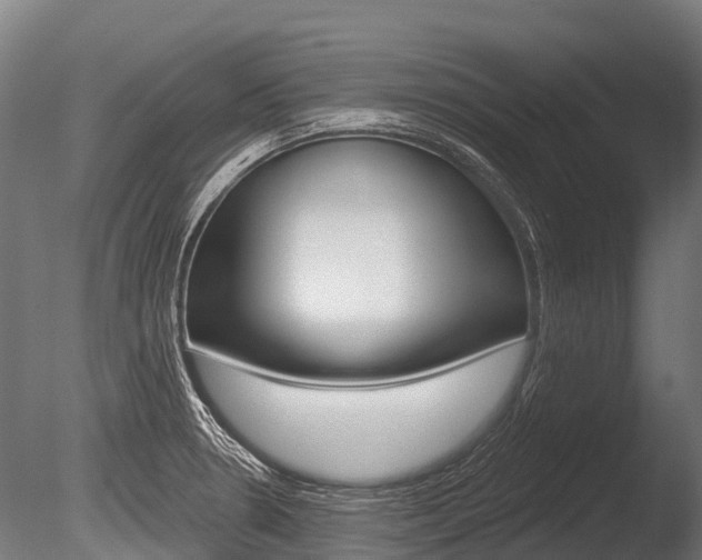 X0000086051330200703230910