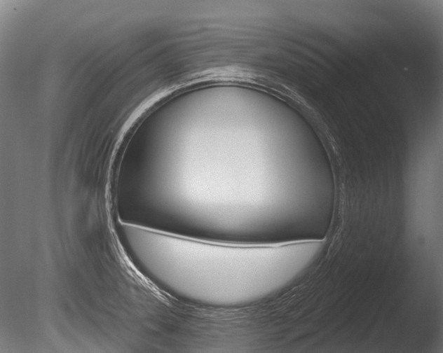 X0000086051331200703230910