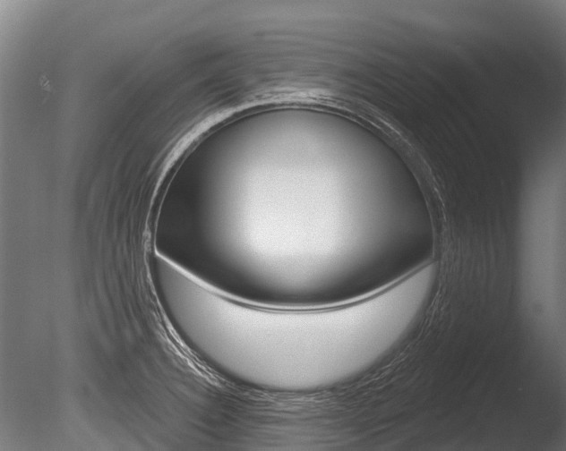 X0000086051332200703230910