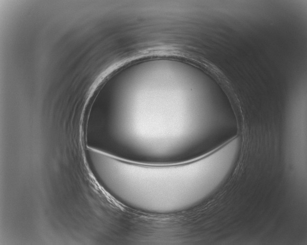 X0000086051334200703230910