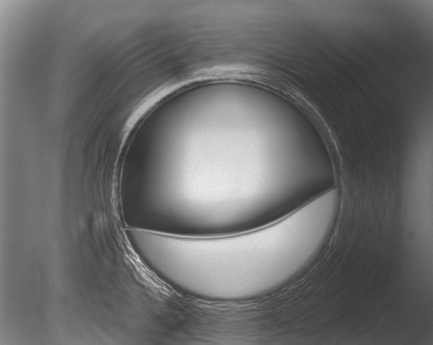 X0000086051336200703230910