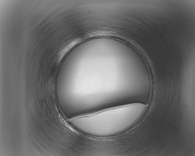 X0000086051337200703230910