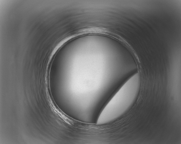 X0000086051339200703230910