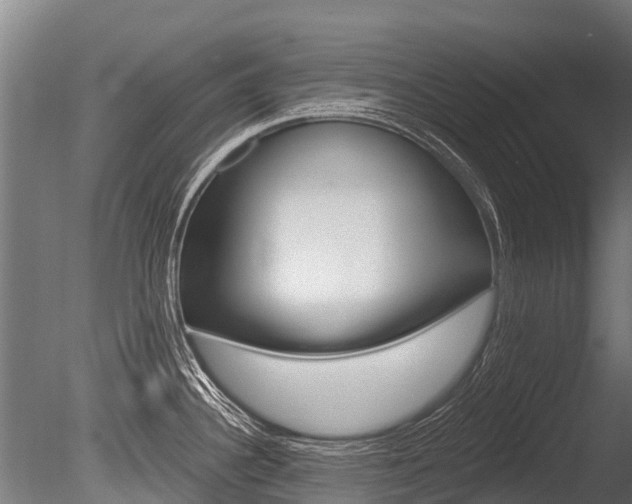 X0000086051340200703230910