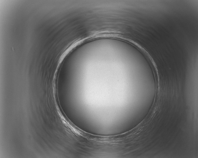 X0000086051341200703230910