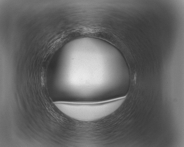 X0000086051348200703230910