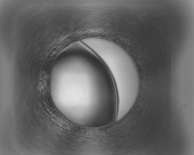 X0000086051349200703230910