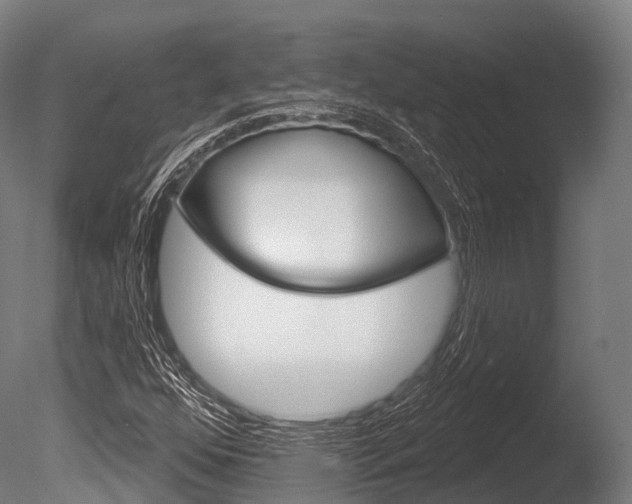 X0000086051352200703230909