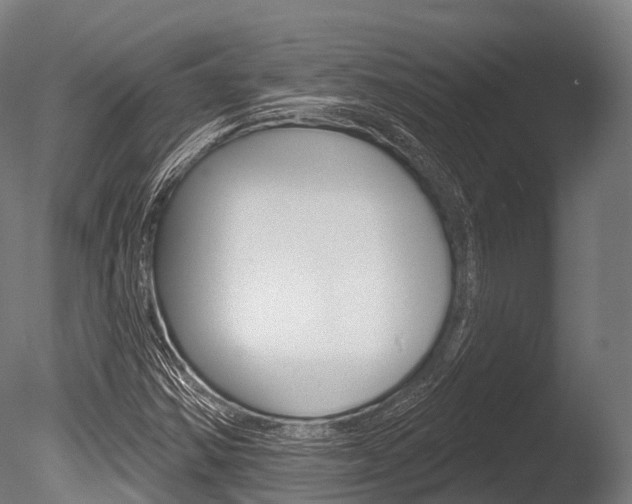X0000086051354200703230909