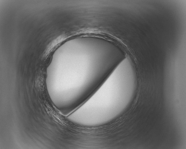 X0000086051359200703230909