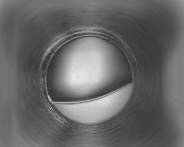 X0000086051360200703230909