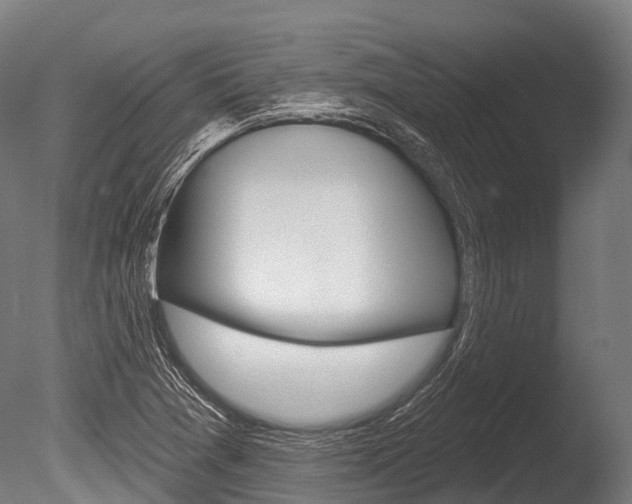 X0000086051361200703230909