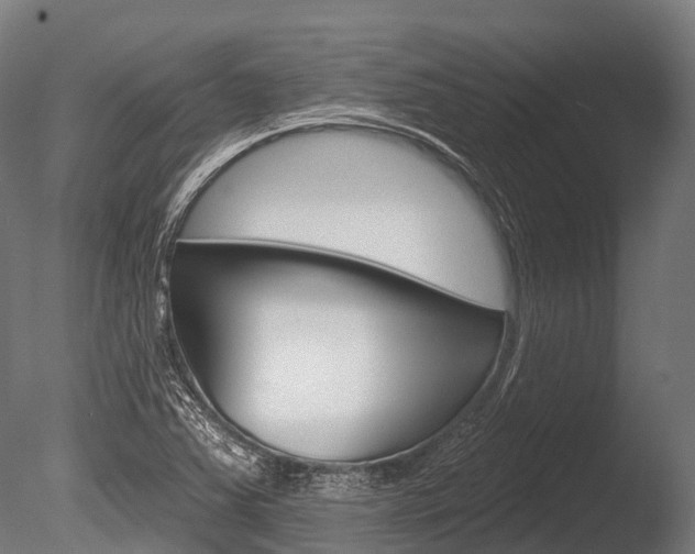 X0000086051363200703230909