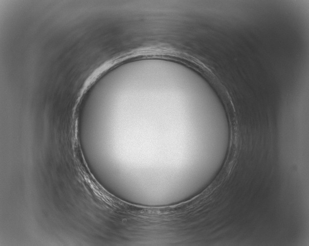 X0000086051366200703230909