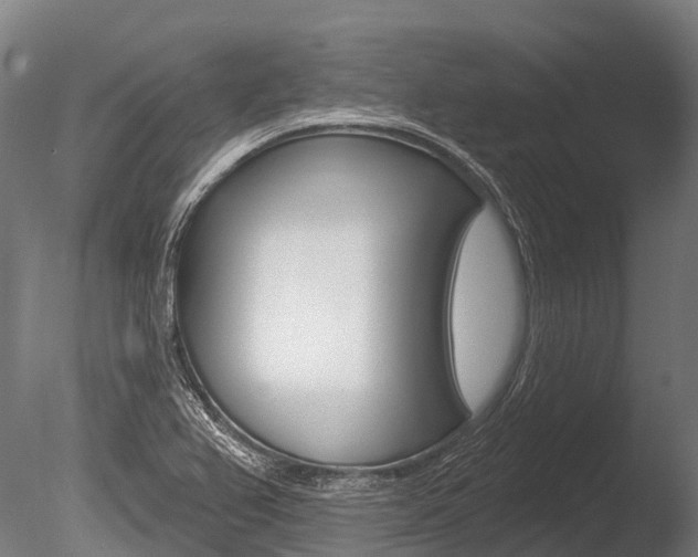 X0000086051367200703230909