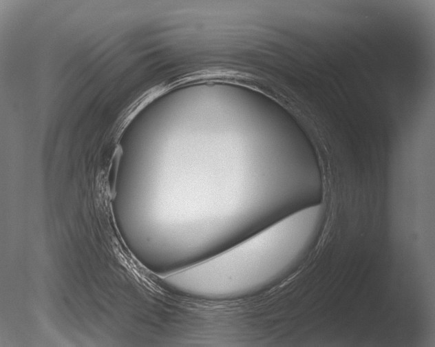 X0000086051369200703230909