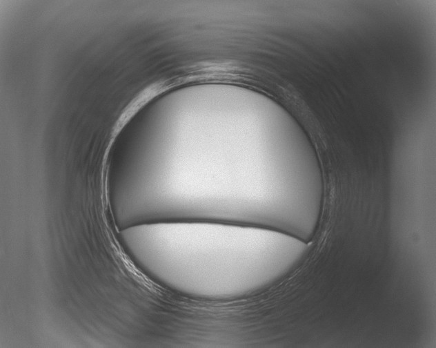 X0000086051370200703230909