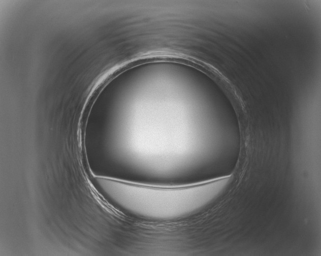 X0000086051372200703230909