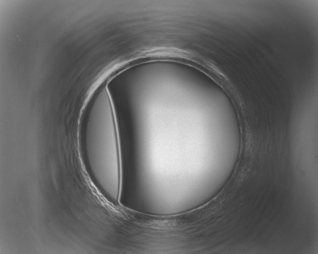 X0000086051376200703230909