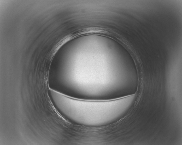 X0000086051377200703230909