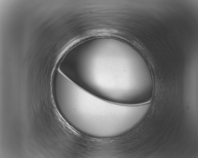 X0000086051384200703230909