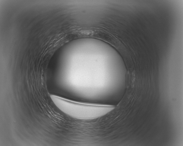 X0000086051394200703230908