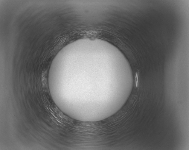 X0000086051395200703230908