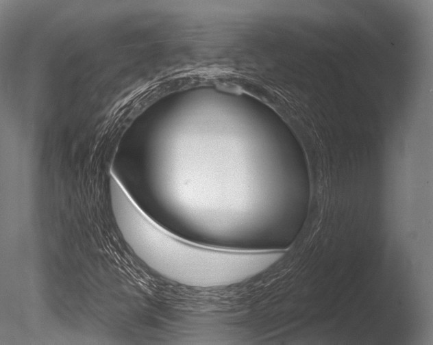 X0000086051398200703230908