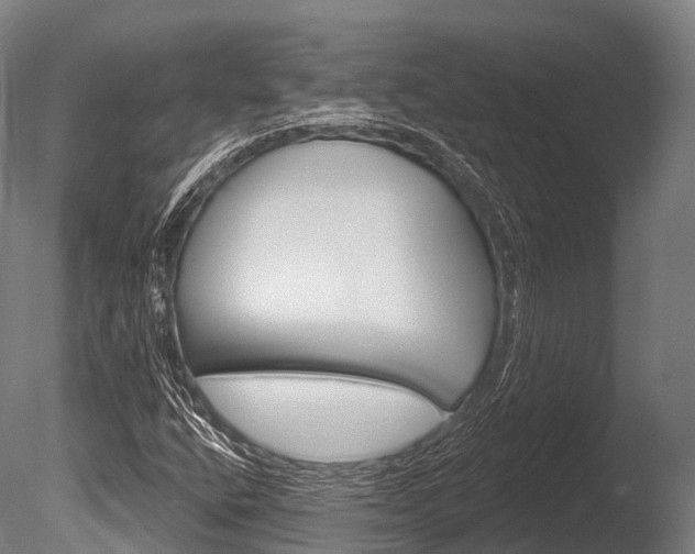 X0000086051400200703230908