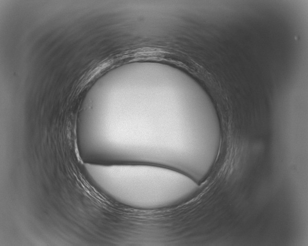 X0000086051401200703230908