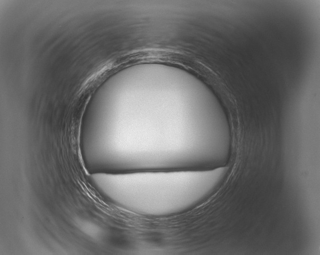 X0000086051403200703230908