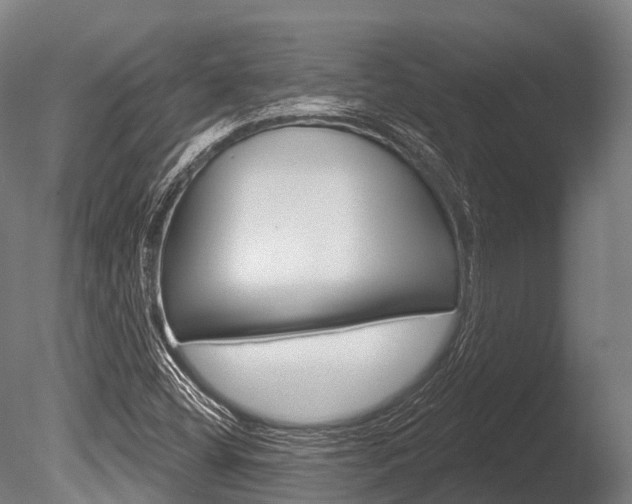 X0000086051404200703230908