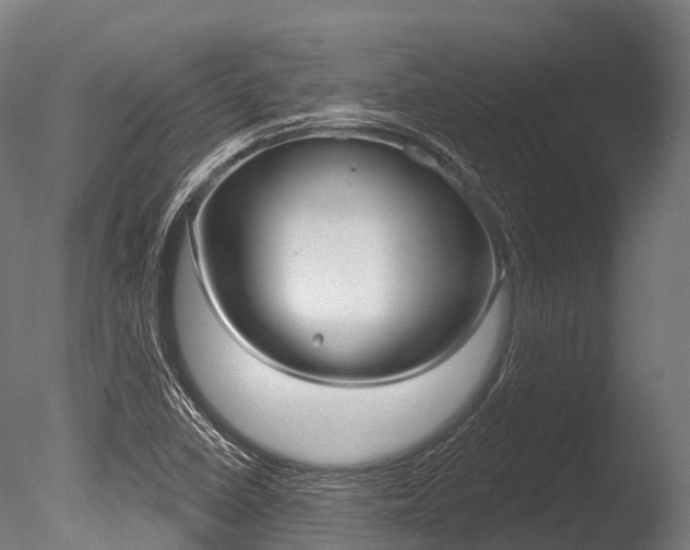 X0000086051410200703230908