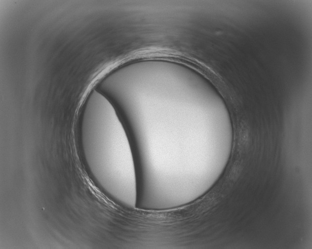 X0000086051413200703230908