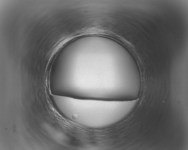 X0000086051415200703230908
