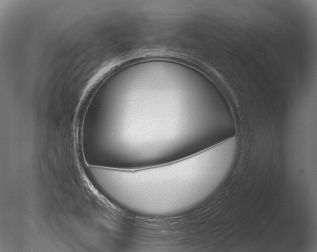 X0000086051416200703230908