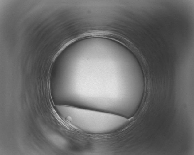 X0000086051417200703230908