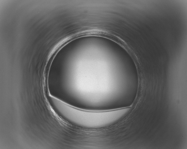 X0000086051418200703230908