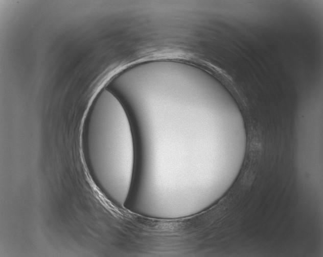 X0000086051423200703230908