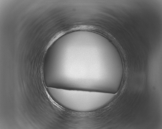 X0000086051425200703230909