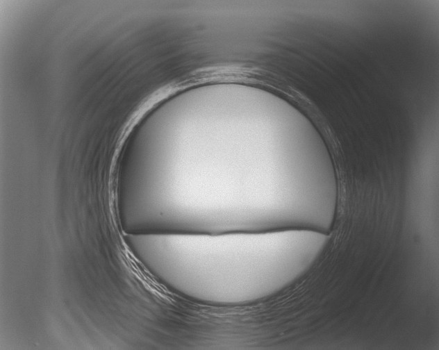 X0000086051435200703230909