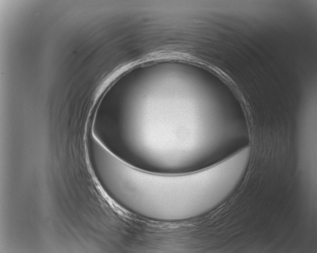 X0000086051438200703230909