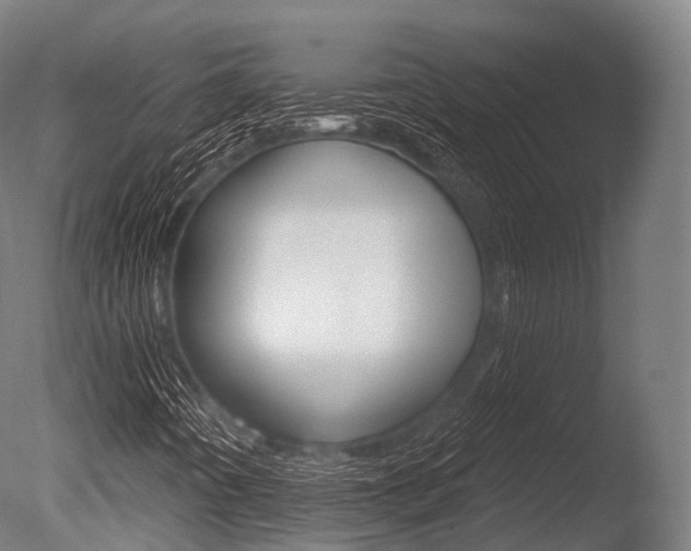 X0000086051442200703230908