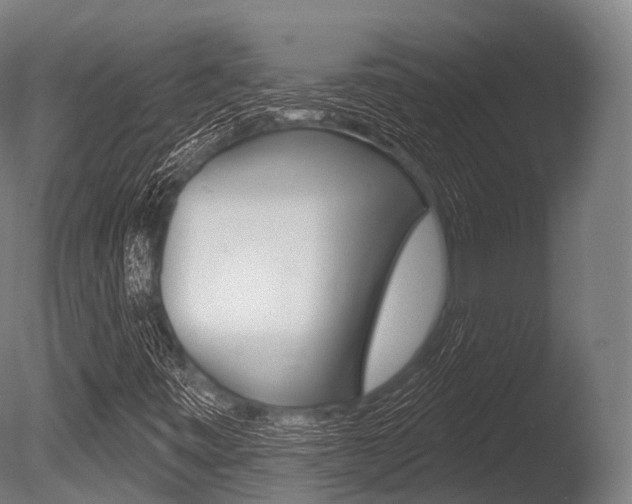 X0000086051443200703230908